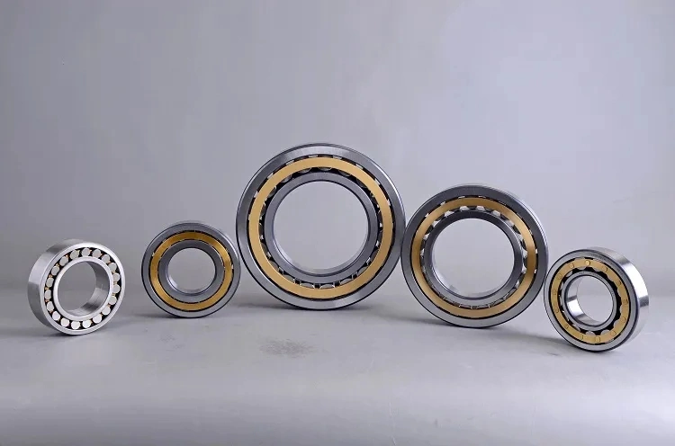 Split Bearing Cylindrical Roller Bearings Separate Bearing with